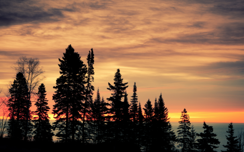 Who&rsquo;s Your Hero? Finding Community Leaders in Fire-Adapted Northeastern Minnesota